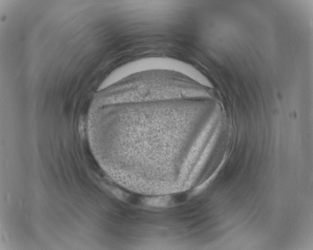 X0000070370191200607072138