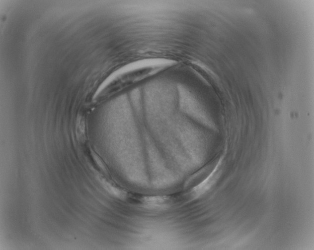 X0000070370192200607072138