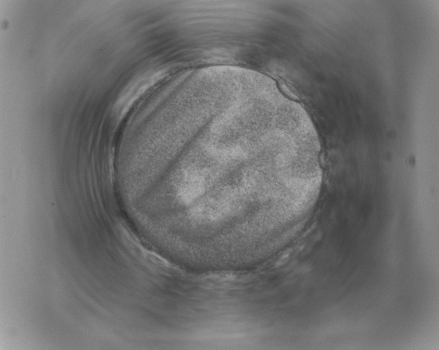 X0000070370194200607072137