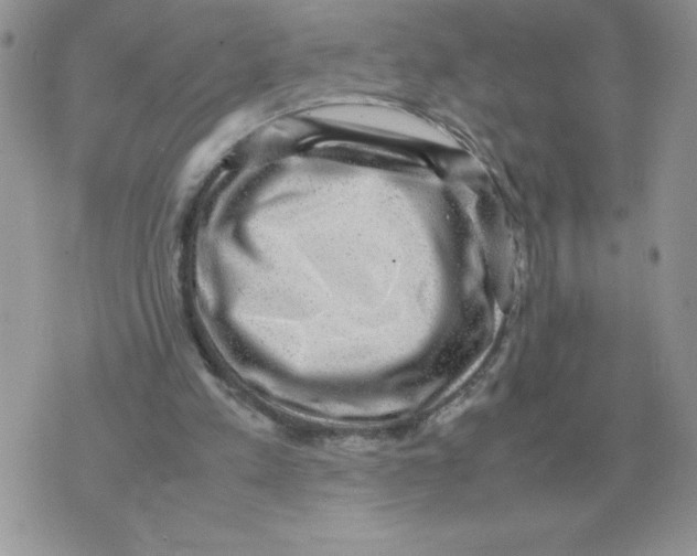 X0000070370197200607072137