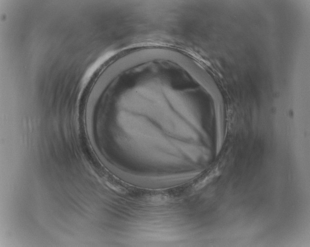 X0000070370200200607072137