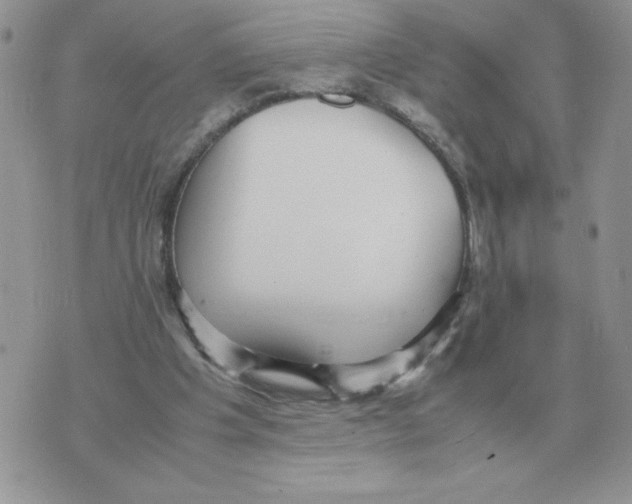 X0000070370201200607072137