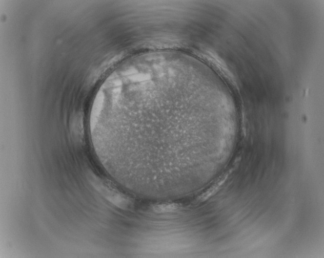 X0000070370202200607072137