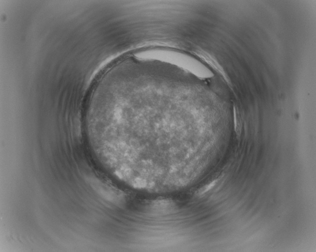 X0000070370204200607072137