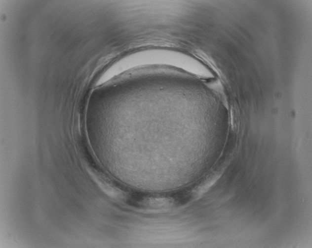 X0000070370205200607072137