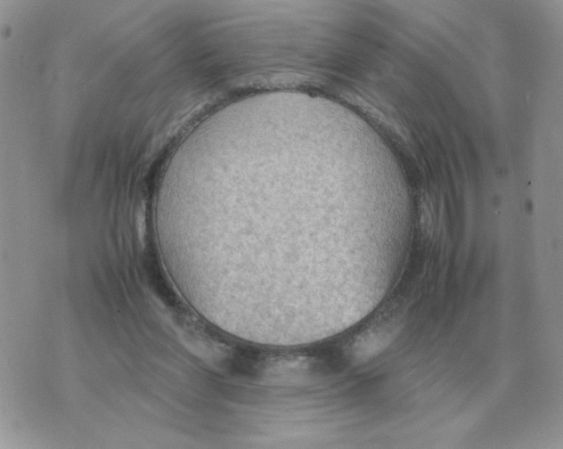 X0000070370206200607072137