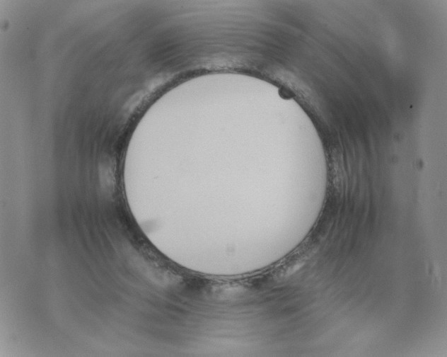 X0000070370208200607072137