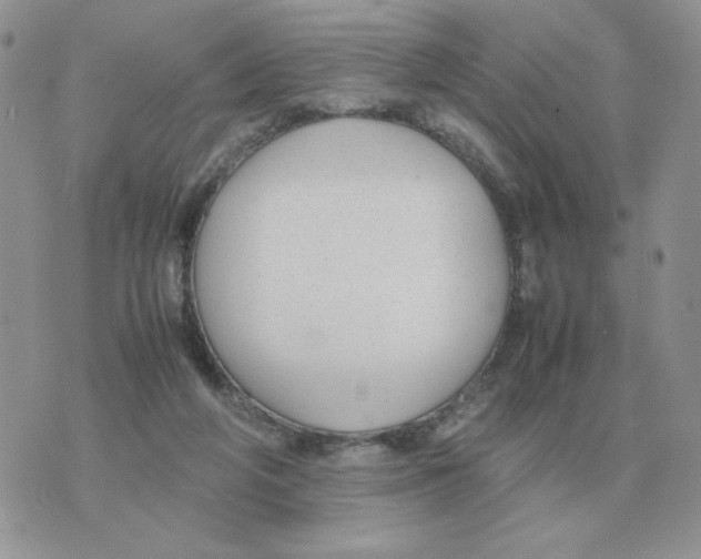 X0000070370210200607072137