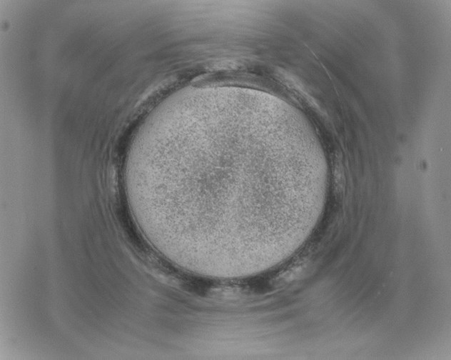 X0000070370211200607072137