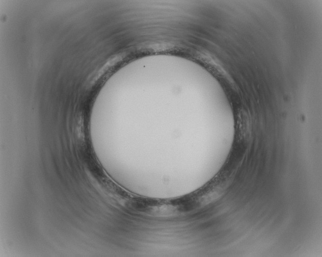 X0000070370212200607072137