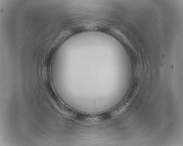 X0000070370213200607072136