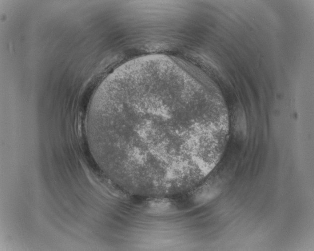 X0000070370214200607072136