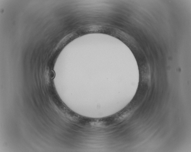 X0000070370216200607072136