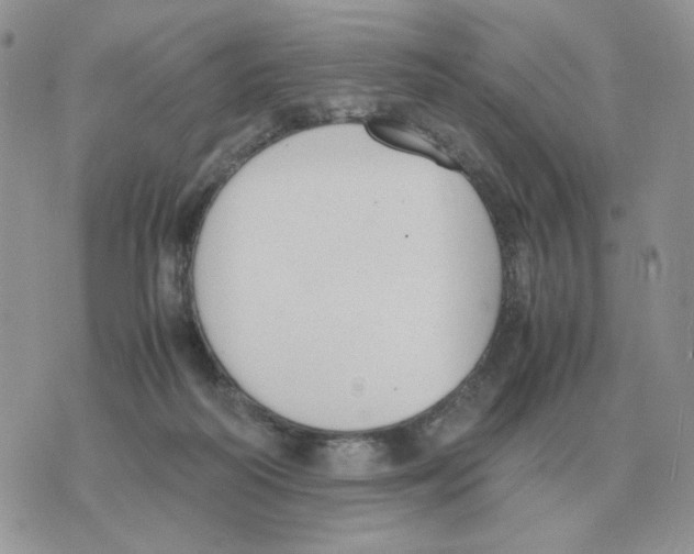 X0000070370218200607072136