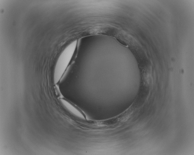 X0000070370219200607072136