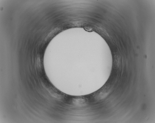 X0000070370220200607072136