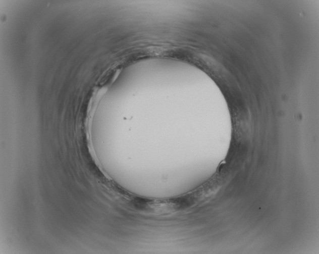 X0000070370221200607072136