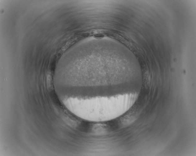 X0000070370222200607072136