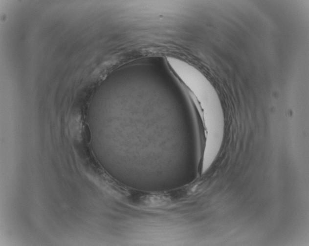 X0000070370223200607072136