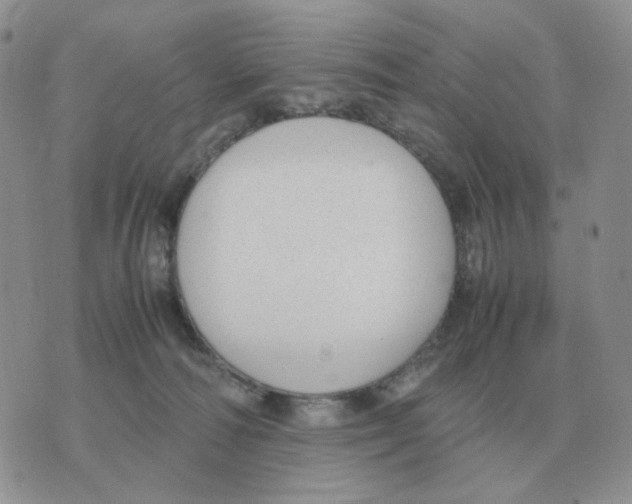 X0000070370226200607072136