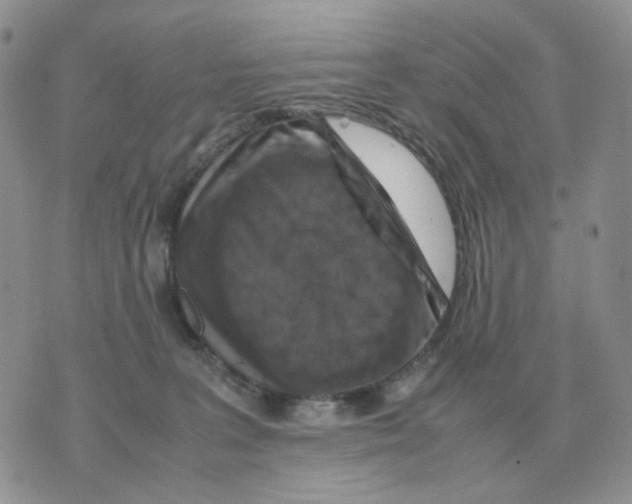 X0000070370227200607072136