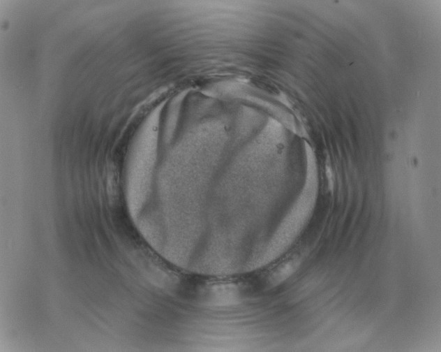 X0000070370228200607072136