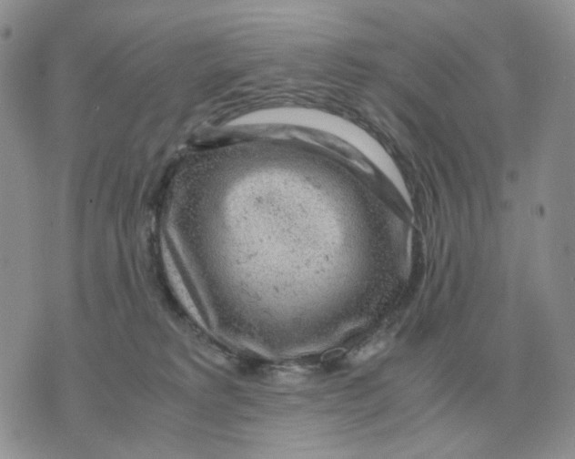 X0000070370229200607072136