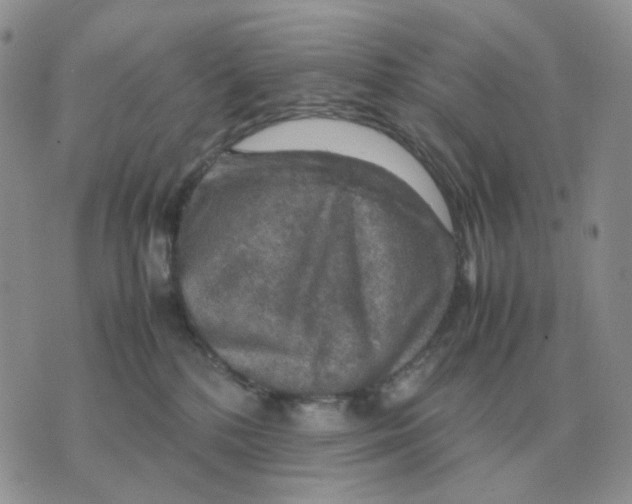 X0000070370232200607072136