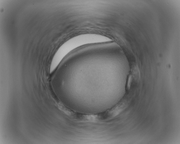 X0000070370233200607072136