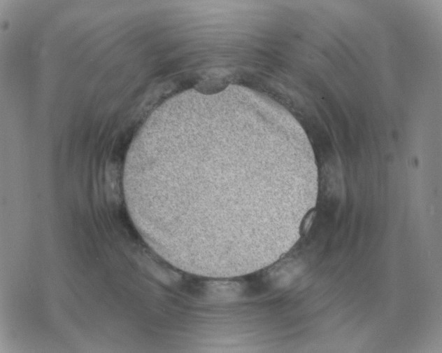 X0000070370234200607072136