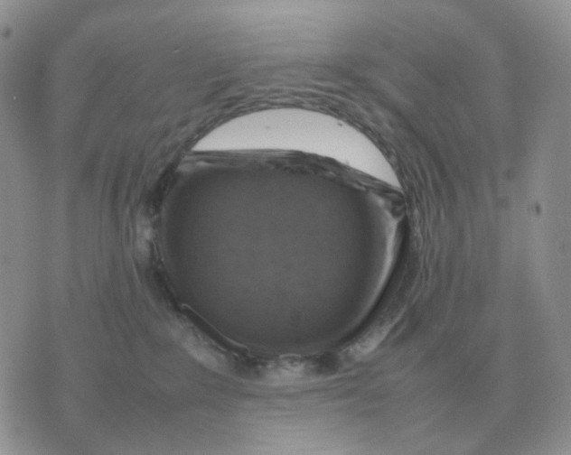 X0000070370235200607072136