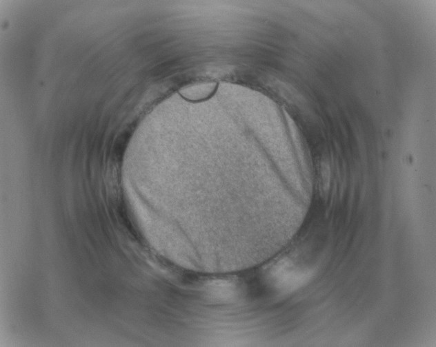 X0000070370236200607072136