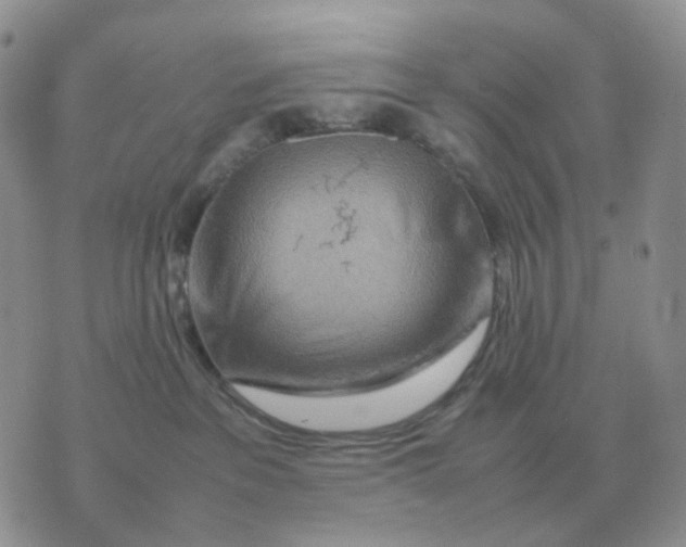 X0000070370237200607072136