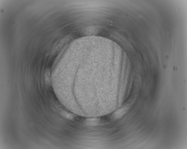 X0000070370240200607072136