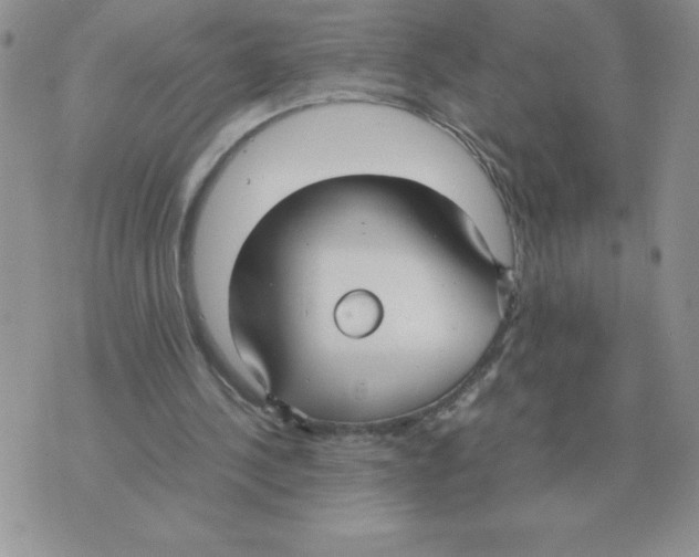 X0000070370244200607072135