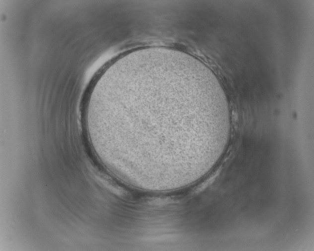 X0000070370246200607072135