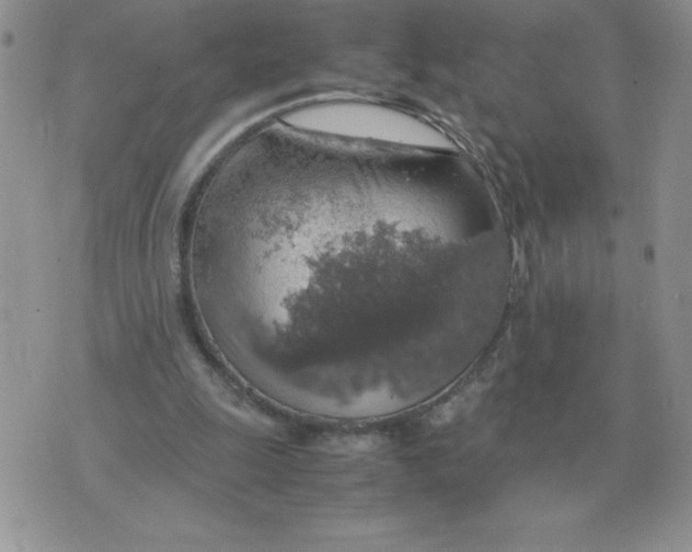 X0000070370247200607072135