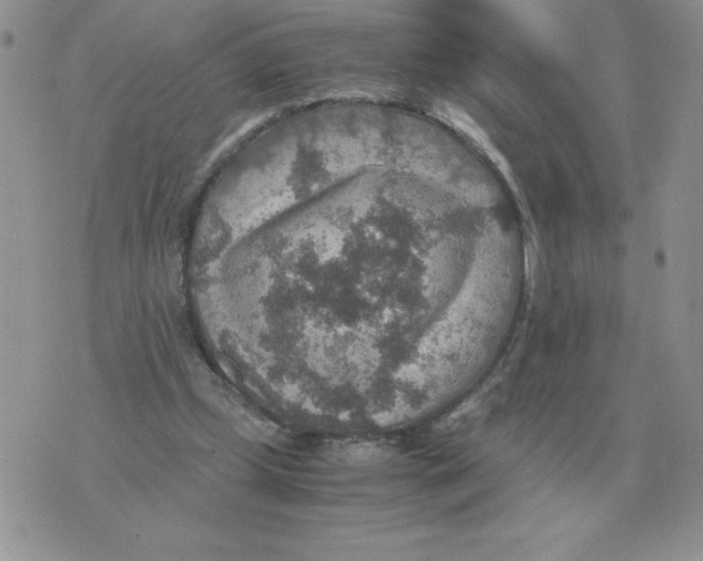 X0000070370249200607072135