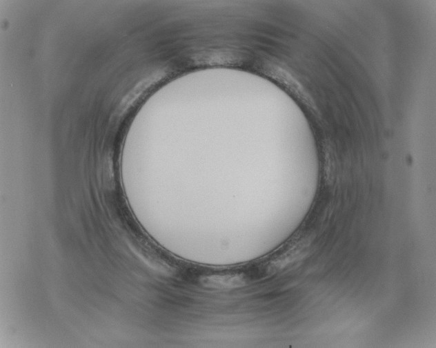 X0000070370251200607072135