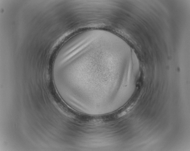 X0000070370252200607072135