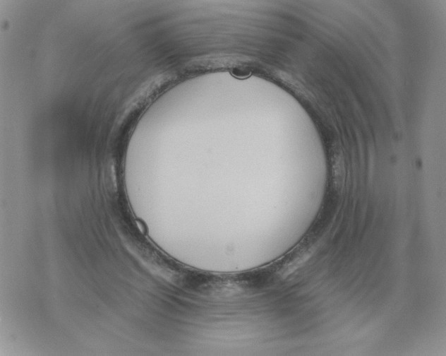 X0000070370254200607072135