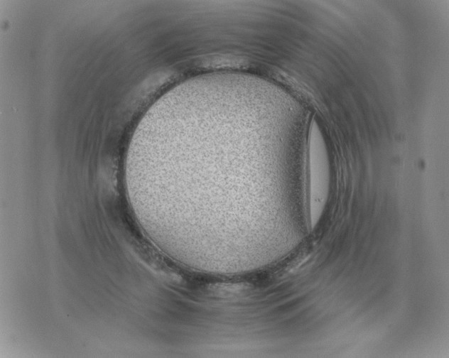 X0000070370255200607072136