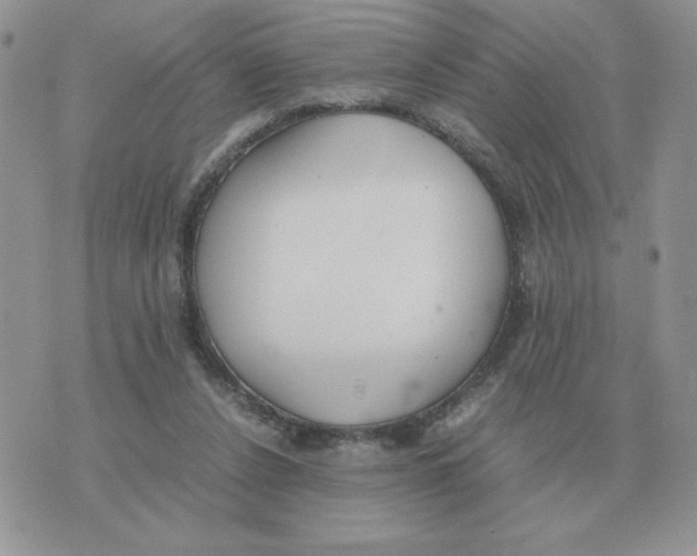 X0000070370256200607072136