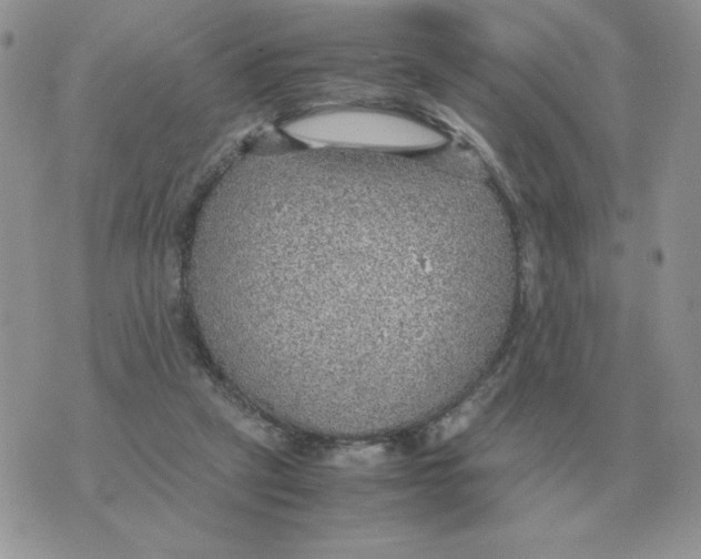 X0000070370257200607072136