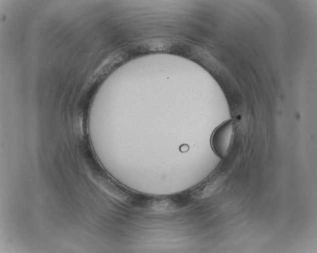 X0000070370262200607072136