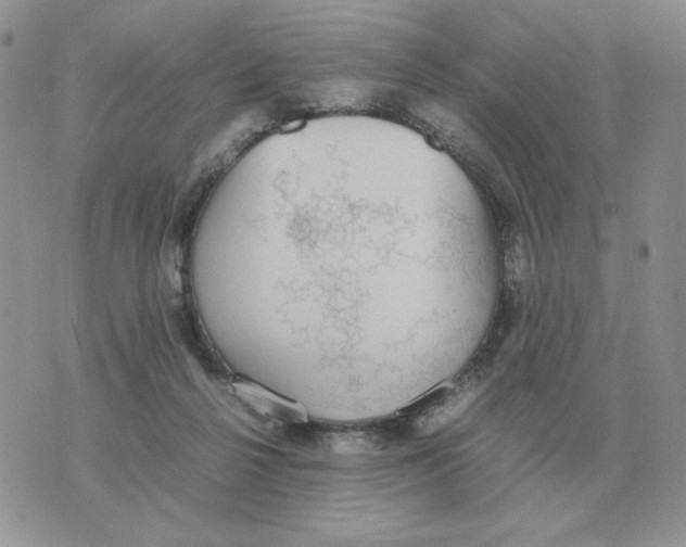 X0000070370264200607072136