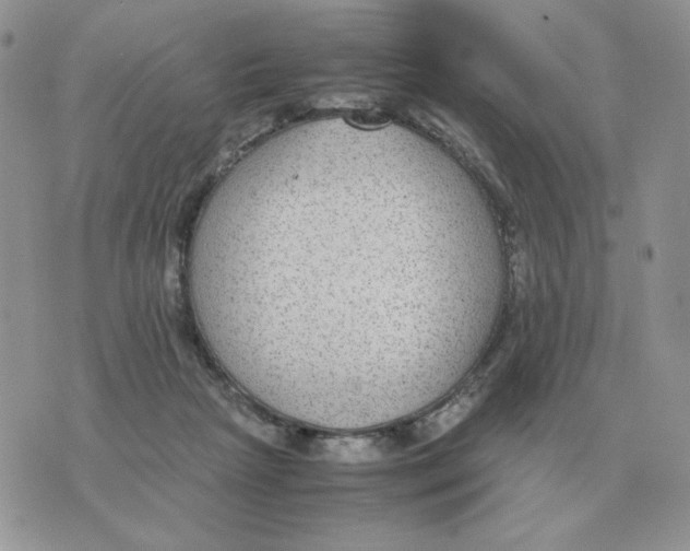 X0000070370265200607072136