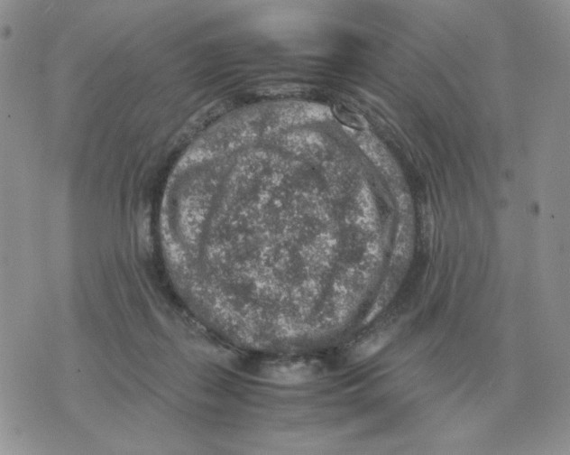 X0000070370267200607072136