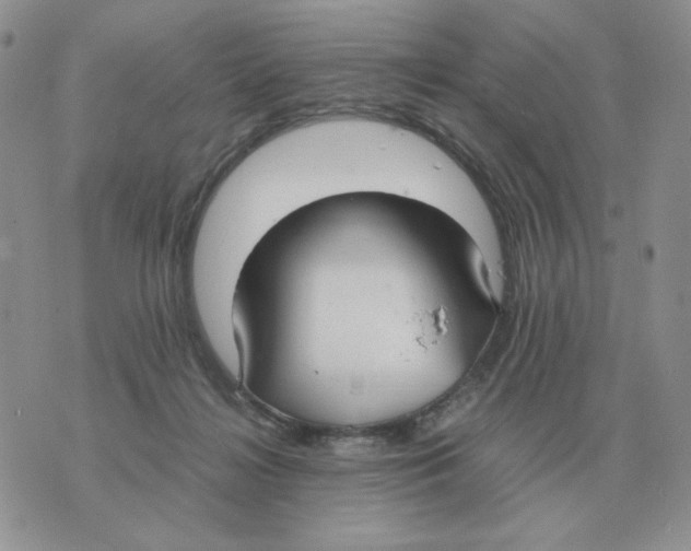 X0000070370268200607072136