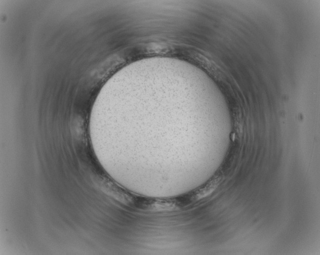 X0000070370270200607072136